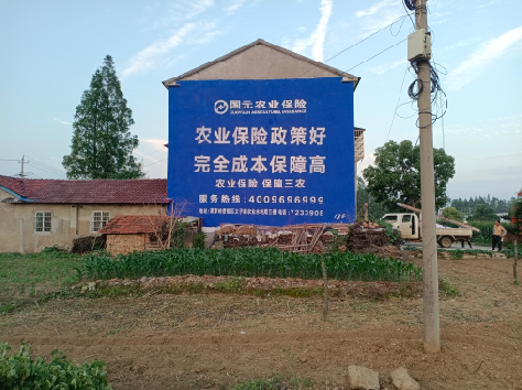 江陵墙体广告的优劣势你知道吗？